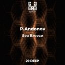 P.Andonov - Forever In My Heart (Original Mix)