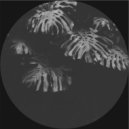 Ben Kaczor - Shell Seven (Original Mix)