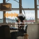 DIMTA - ORGANICA MIX PART 24 (Compiled & Mixed by )