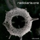 ralle.musik - Radiolaria.one (Dj Set)