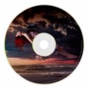 David McQuiston - Motive