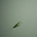 Warm Cut - Sly6 (Original mix)