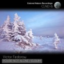 Victor Fedorow - You\'re Not Alone ()