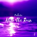 Doylde - After The Rain