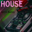 Arryn Bunny - Mysteryland (Original mix)