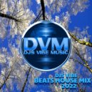 Djs Vibe - Beats House Mix 2022 ()