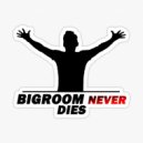 KalashnikoFF - Absolut\'ный Bigroom ()