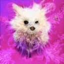 Cole Jaeger - AUGH (Original mix)