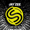 Jay Zee - Fake Friends