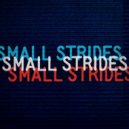 Umphrey's McGee - Small Strides