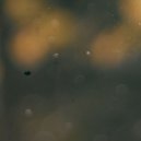Andrea Porcu & Music For Sleep (A.P) - Season Of Mists ()