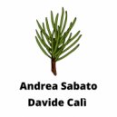 Davide Cali - Larice