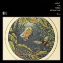 Night On Wish Mountain - Everything Alright (Original Mix)
