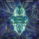 Ricky West & Tim Terra - Crazy Times ()