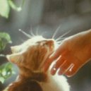 STS-51L - Limerence (Original Mix)