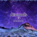 Alwoods - Gravitational Waves (Alwoods Remix)