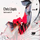 Chris Llopis - Circles (Original Mix)