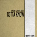 Vanucci, White Sheep - Gotta Know