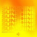 Ruff Loaderz & Ginchy Ft. Salena Mastroianni - Sunshine (Extended Mix)