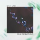SMKY LPRD - DEAD RENDEZVOUS (Original Mix)