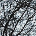 IRACUND - Asthma (prod. MEDEV4C)