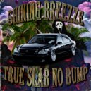 SHINING BREEZZE - PROVOCATION