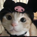 KENTXRFXRE - AUTOMATIC ROUNDS ()