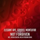 Elegant Ape, Gabriel Montufar - Not Forgiven (Melih Aydogan Remix)