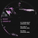Seany - Like It