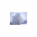 Mindfulness Healing Sleep BGM Project - Moonlight and Self talk (Sleep BGM)