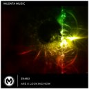 ZANGI - Are U Looking Now (Extended Mix)