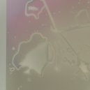 明坂武史 - circus night