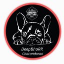DeepBhoRR - Soundoscope (original Mix)