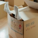 BiG KiD - Why Bother