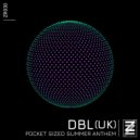 dBL (UK) - Pocket Sized Summer Anthem (Original Mix)