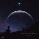 Flight of the Falcon - Night Sky