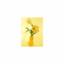 Mindfulness Healing Sleep BGM Project - Myself and Joy (Sleep BGM)