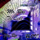 Mr. Rog - The Light