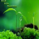 DJ Lerik & DJ Asia - Organic Fusion (Mix)