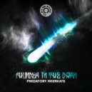 Predatory Meerkats - Dark Way (Original Mix)