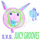 S.V.G. - Juicy Groove (Original Mix)