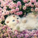 Life\'s Melody - Bright Memories (Original Mix)