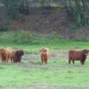 Viktor Vos - Do Not Stop