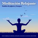 Meditaciónessa & Musica Relajante & Música de Meditación - Música para yoga - Enfoque y concentración y sonidos de aves ()