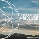 Joulez - Soar Like a Blue Bird