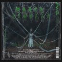 Marco Ginelli - The Purification
