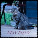 Chris Kusher - New Pussy ()