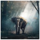 lofi otaku - Rain Forest