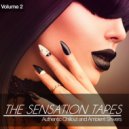 Ricardo Acossa - Soul Wings ()