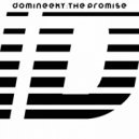 Domineeky - The Promise (1995 Radio Edit)